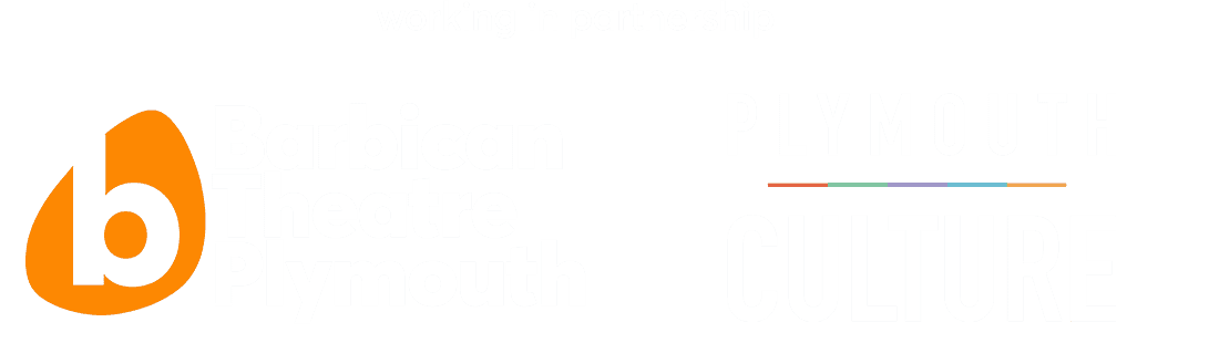 BT & plymouth culture logo - partnership